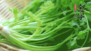 挑選鮮嫩的香菜，洗干凈后，處理成小段。
