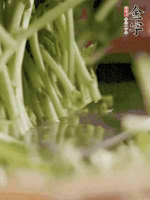 新鮮豌豆苗割下洗凈。